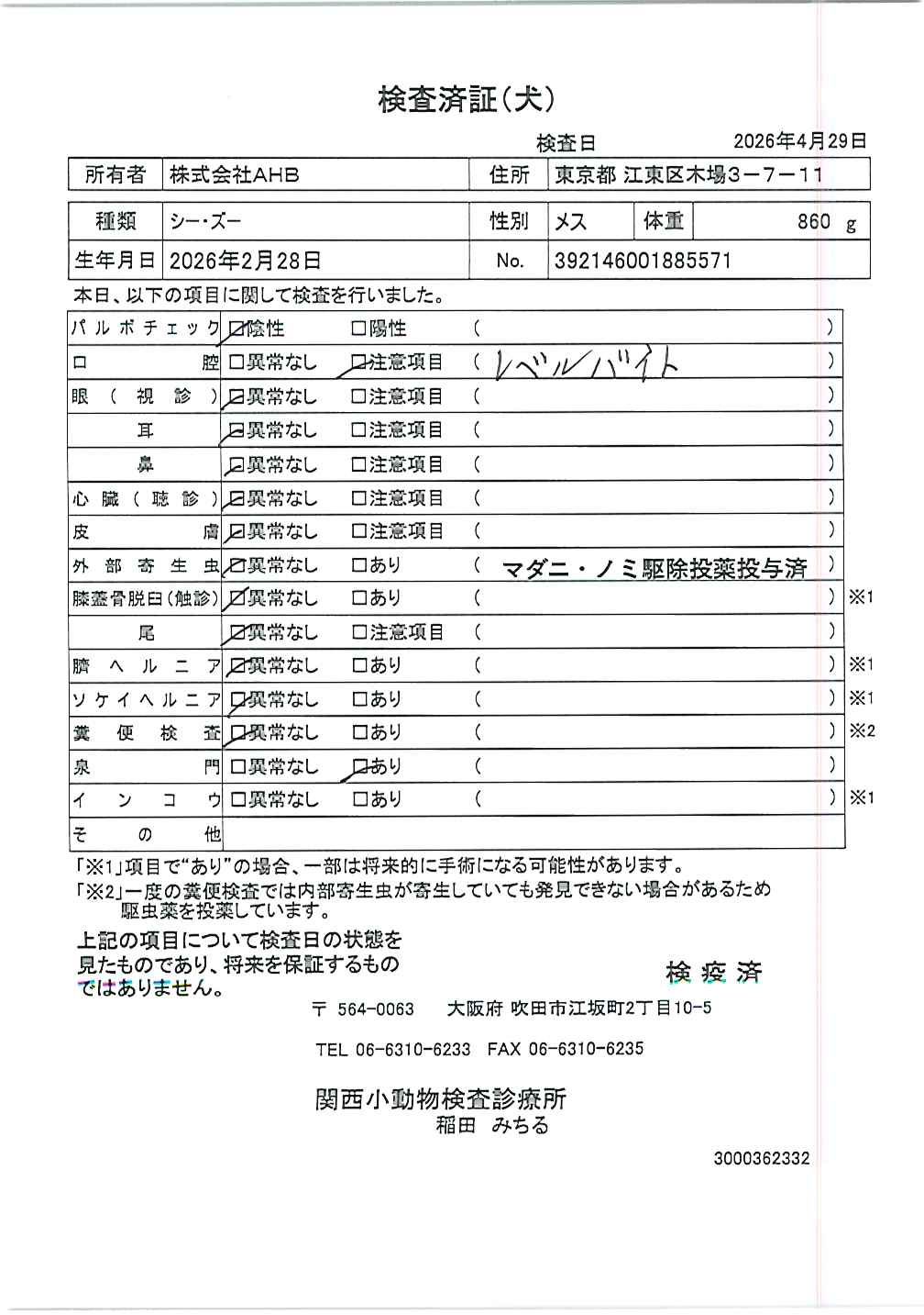 シー・ズー