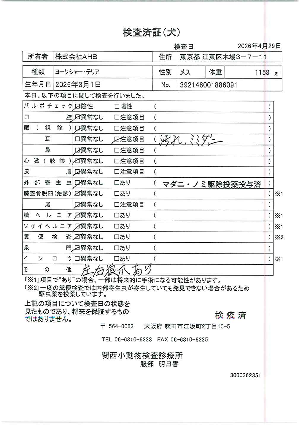 ヨークシャー・テリア