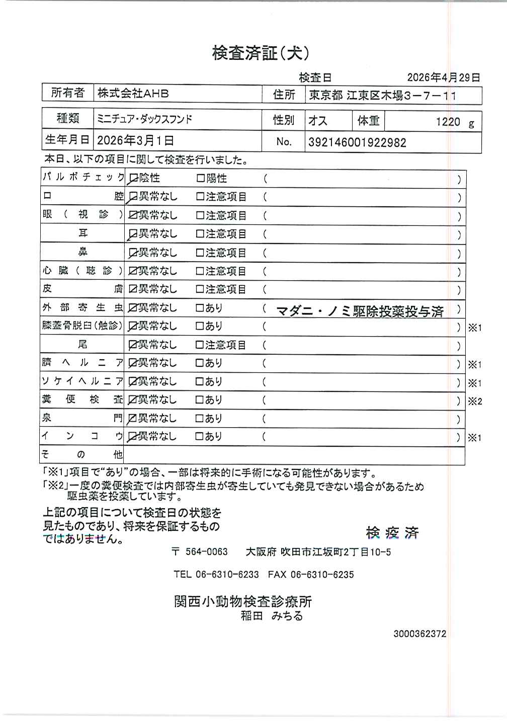 ミニチュア・ダックスフンド