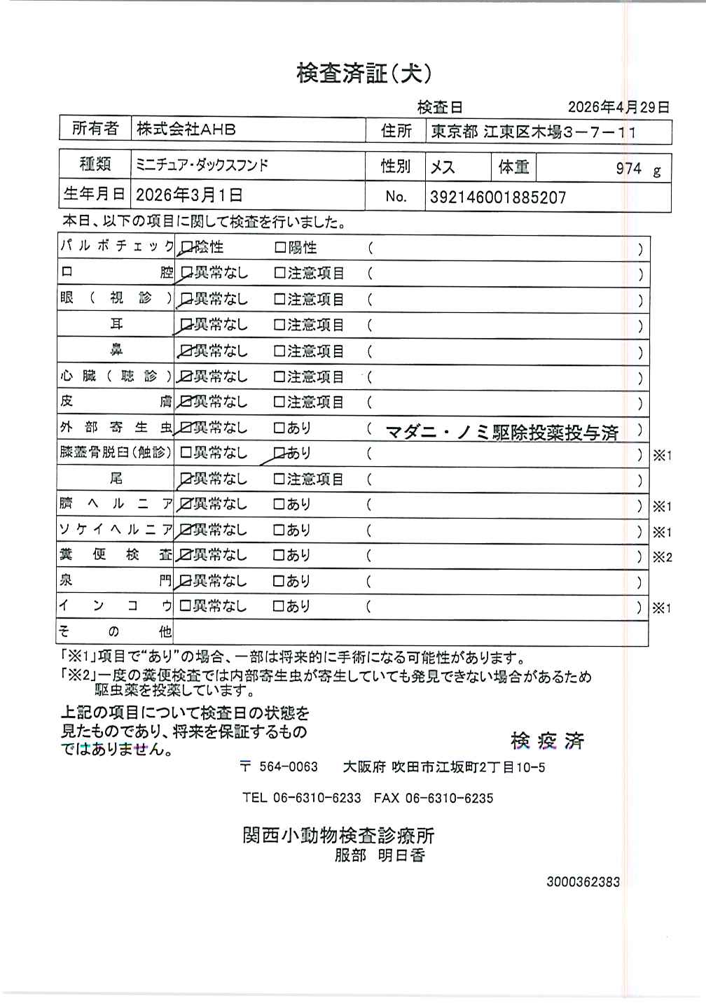 ミニチュア・ダックスフンド