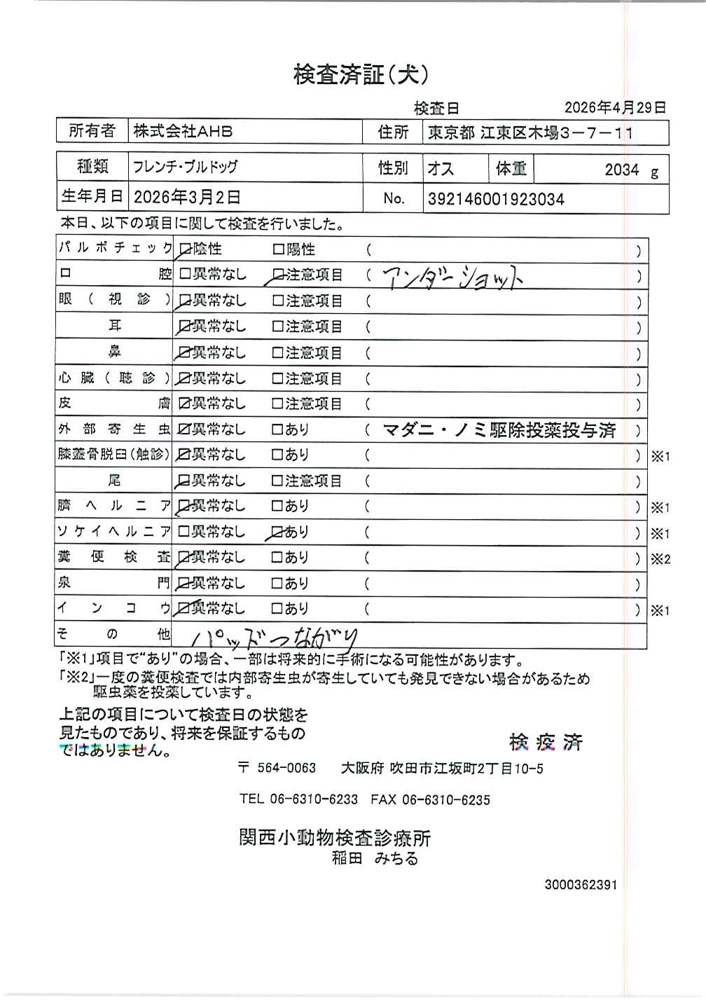 フレンチ・ブルドッグ
