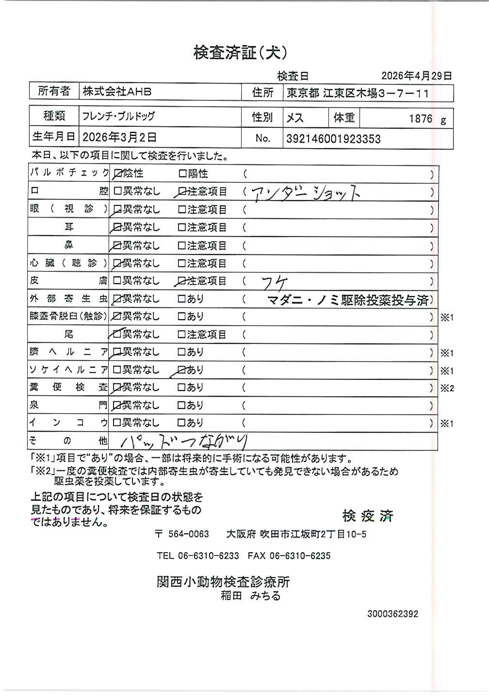フレンチ・ブルドッグ