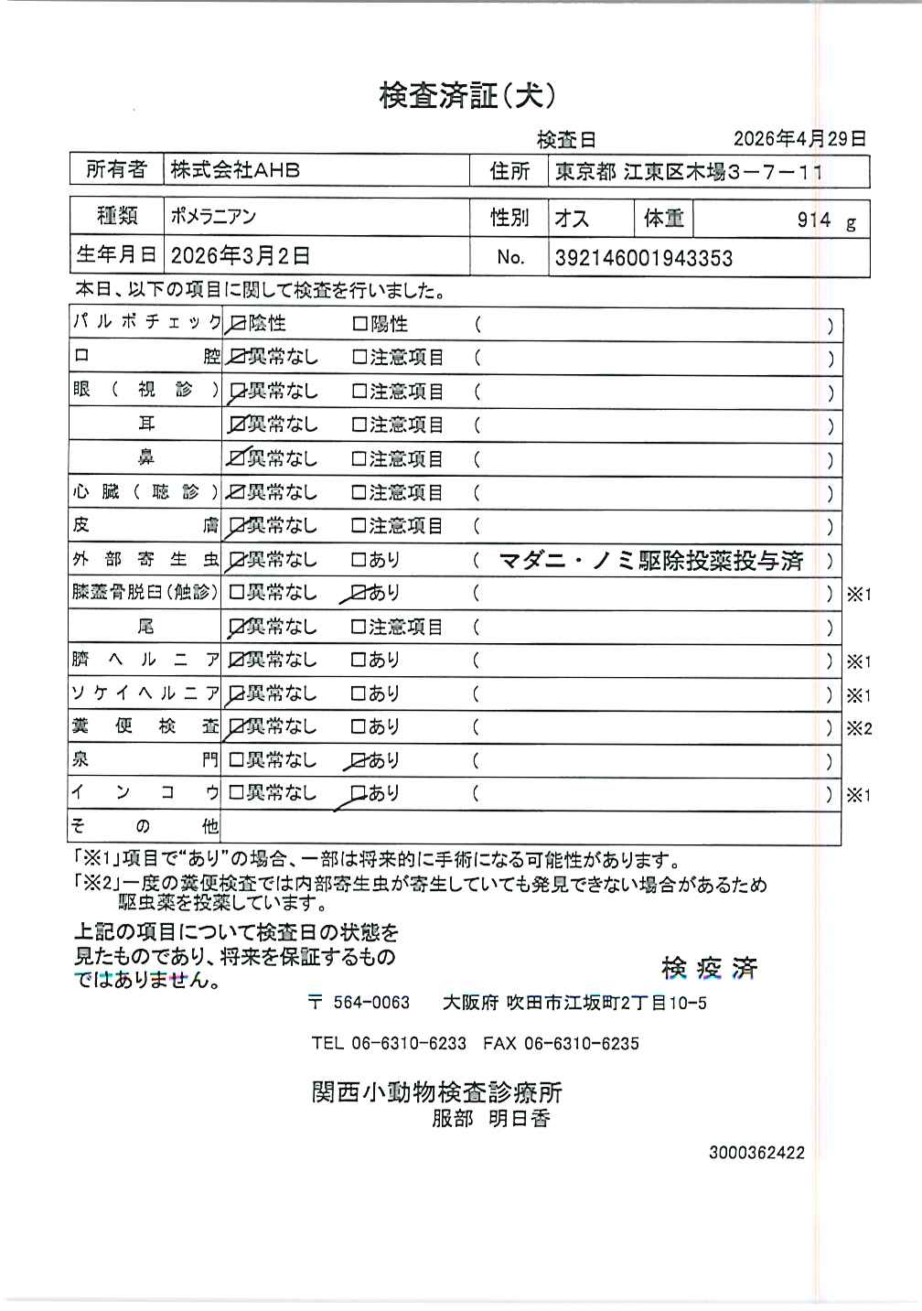 ポメラニアン