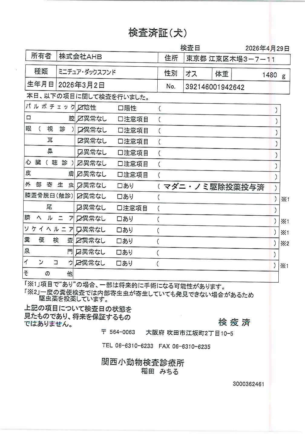 ミニチュア・ダックスフンド