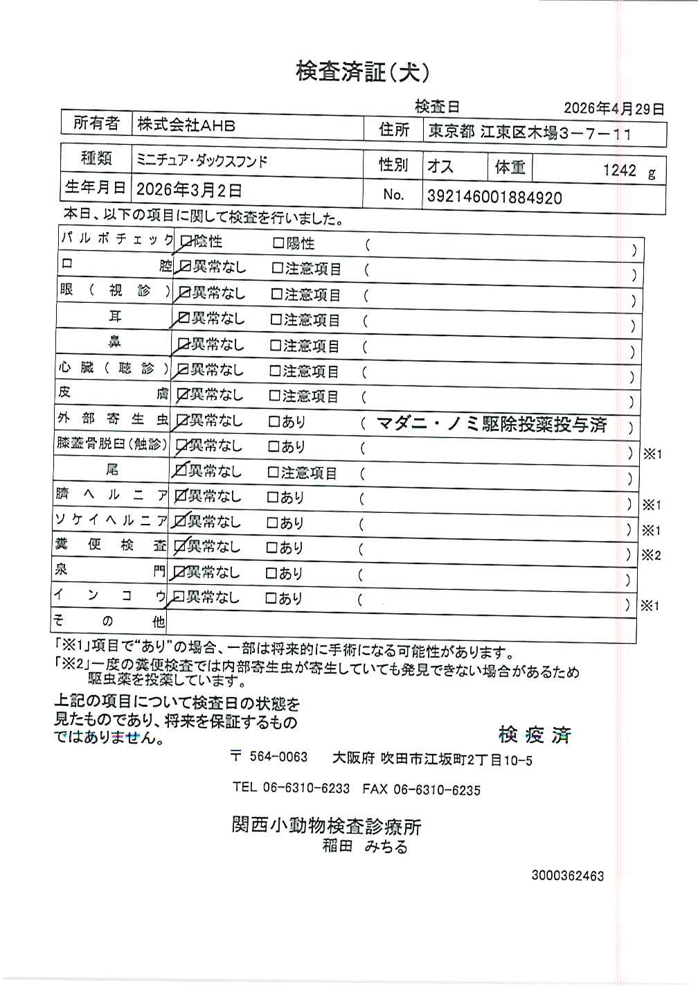 ミニチュア・ダックスフンド