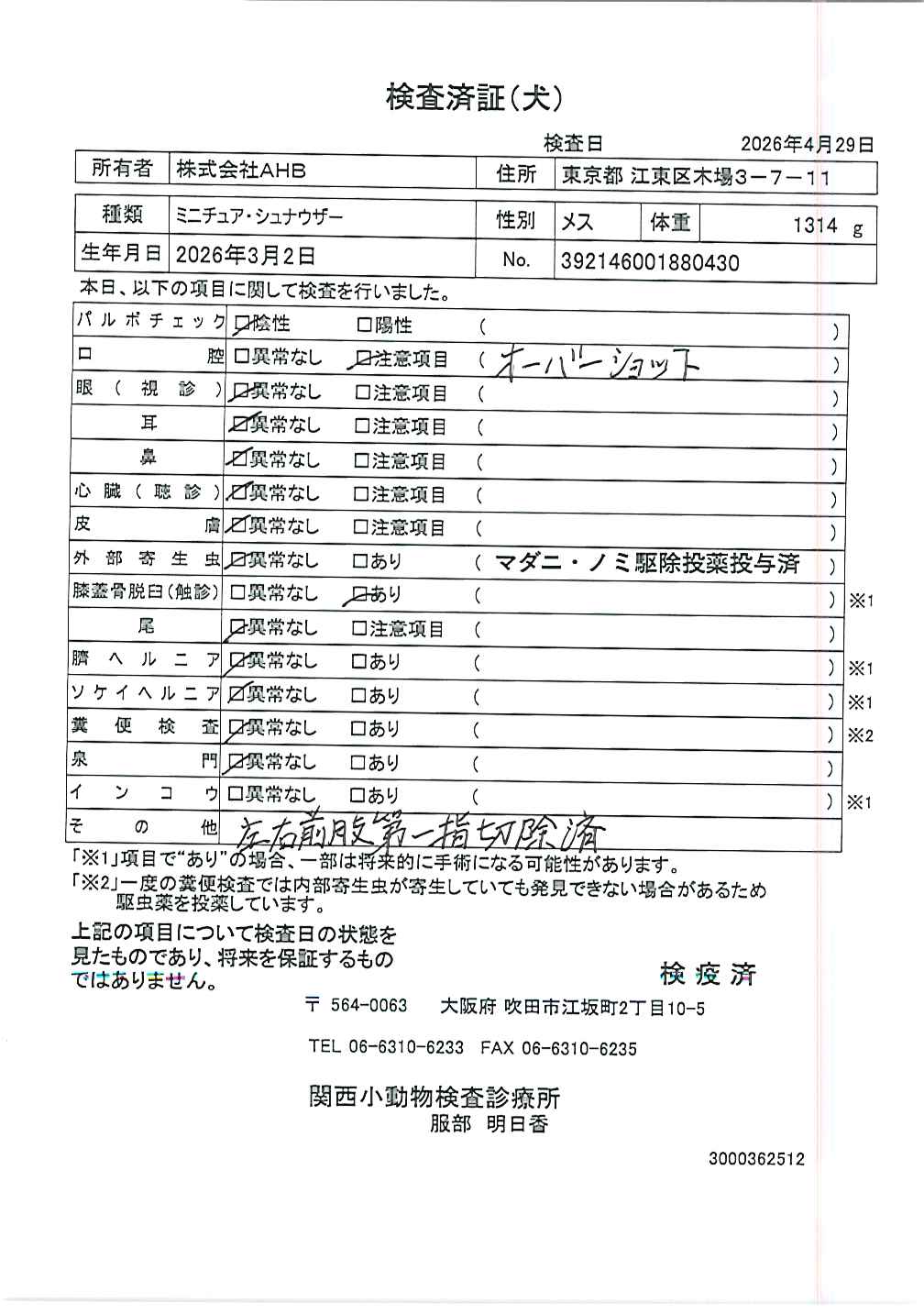 ミニチュア・シュナウザー