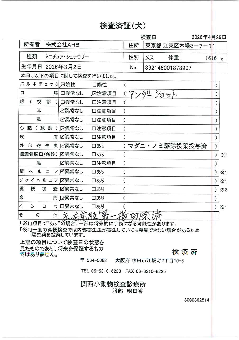 ミニチュア・シュナウザー