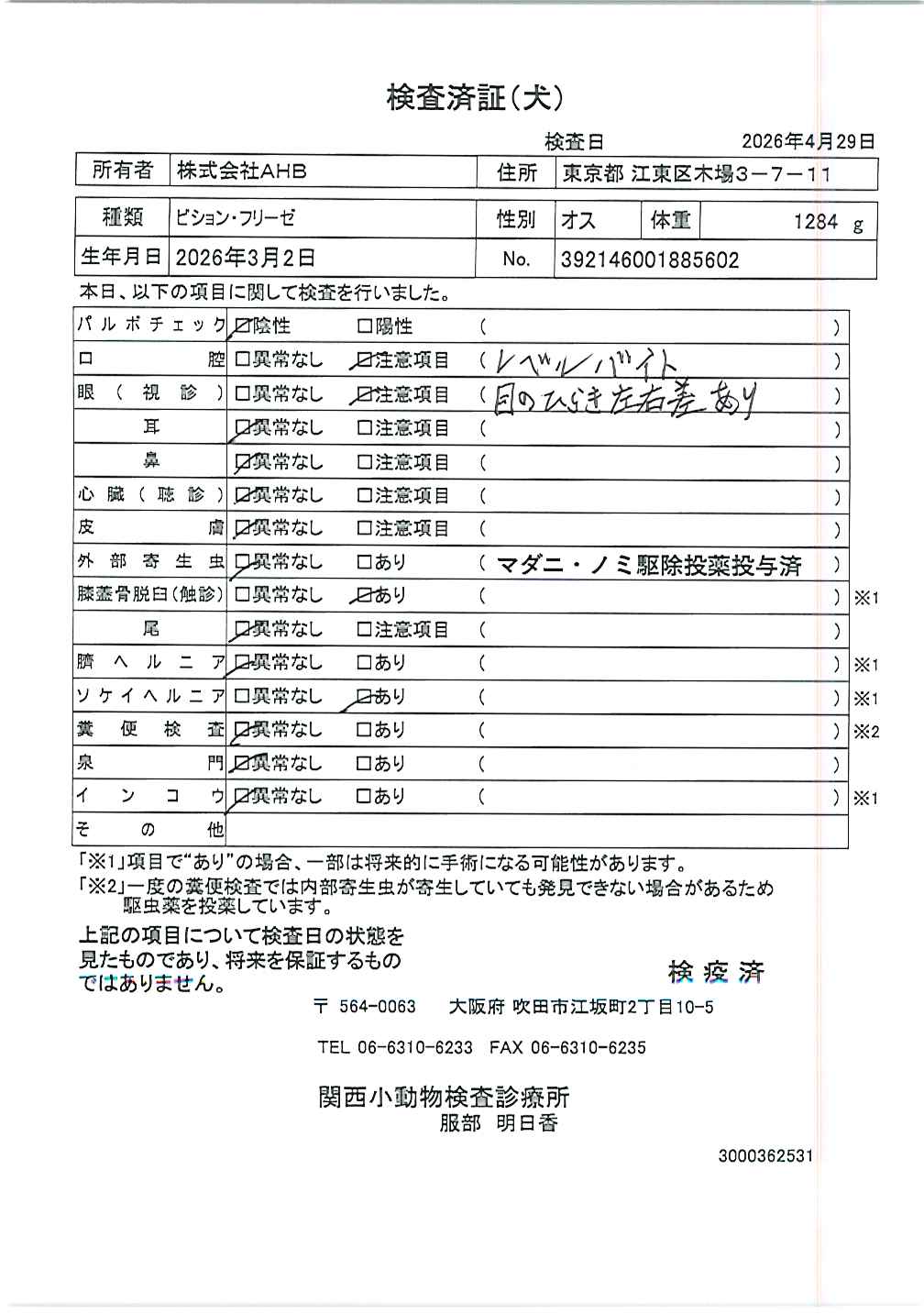 ビション・フリーゼ