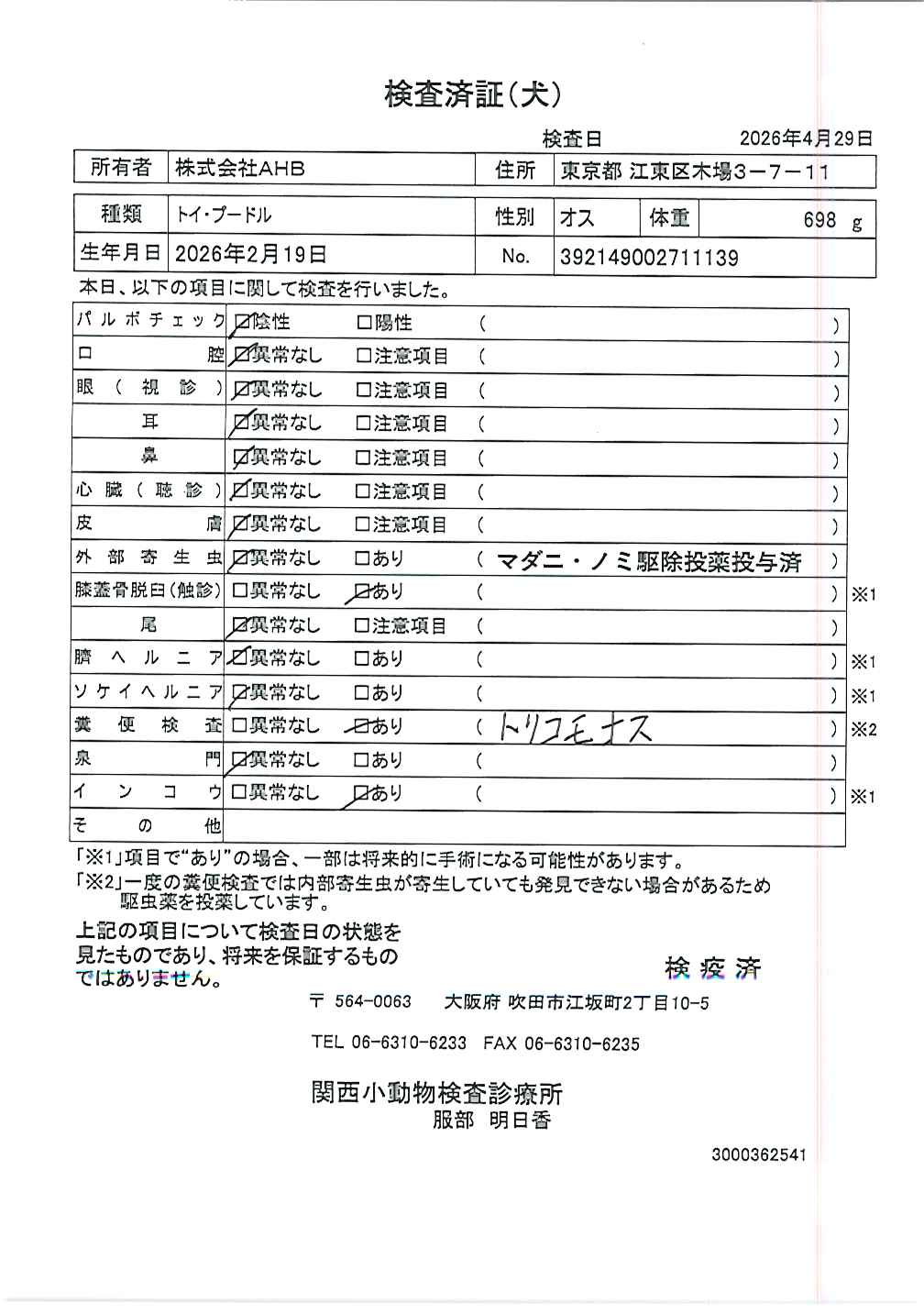 トイ・プードル