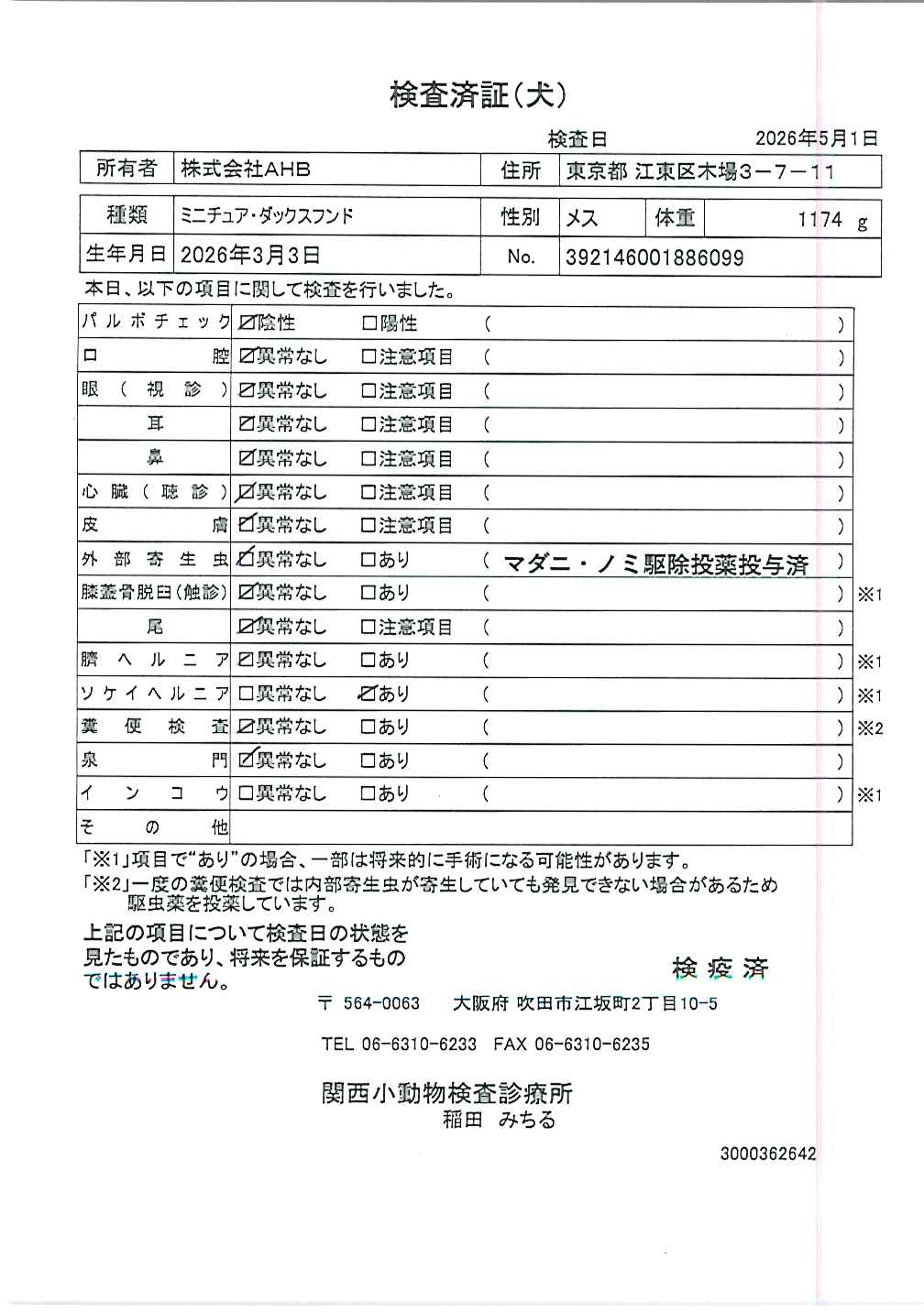 ミニチュア・ダックスフンド
