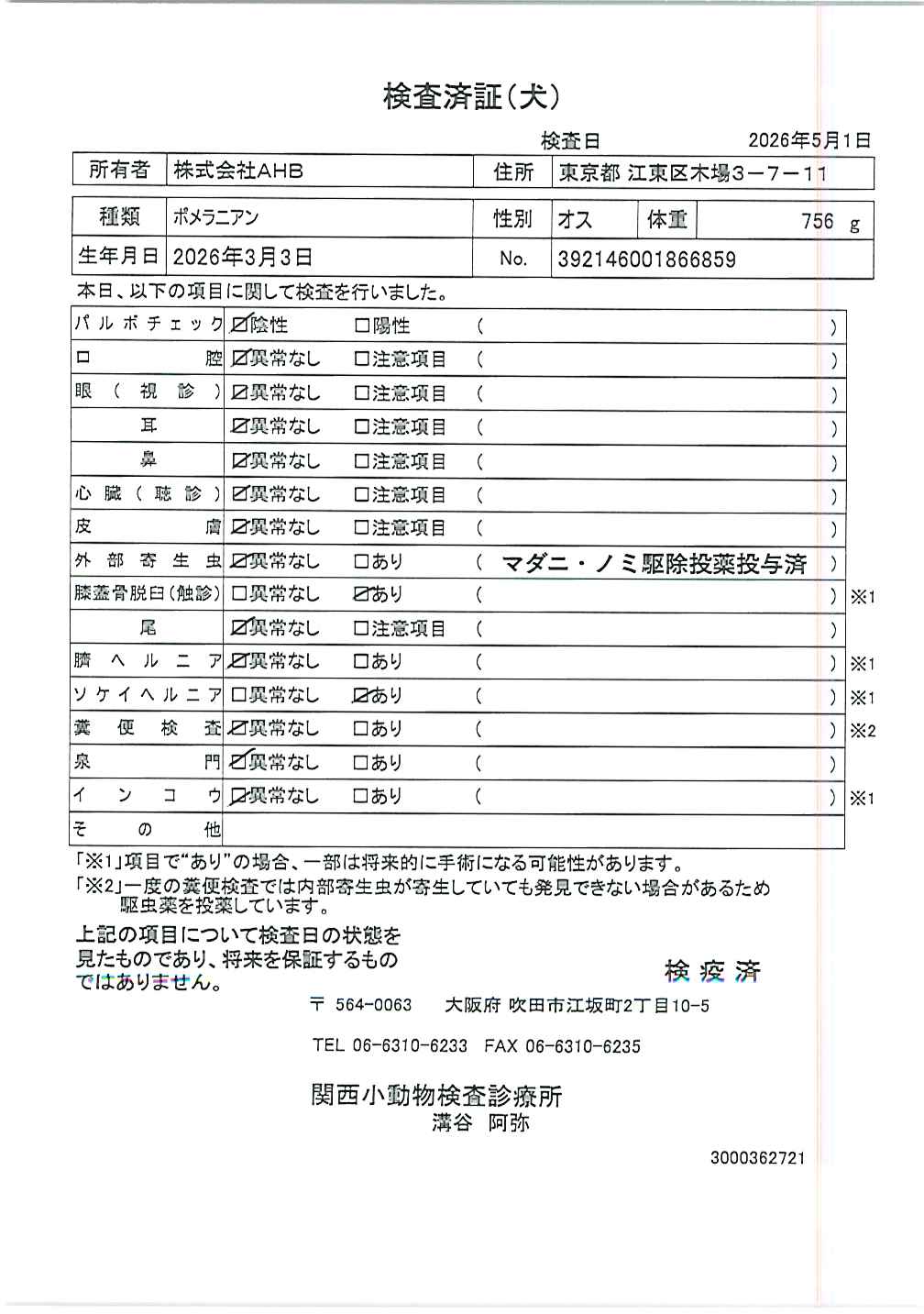 ポメラニアン