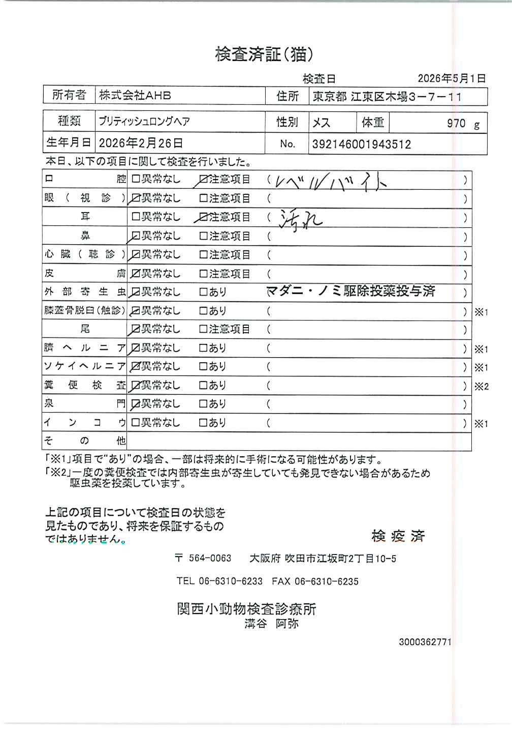 ブリティッシュロングヘア
