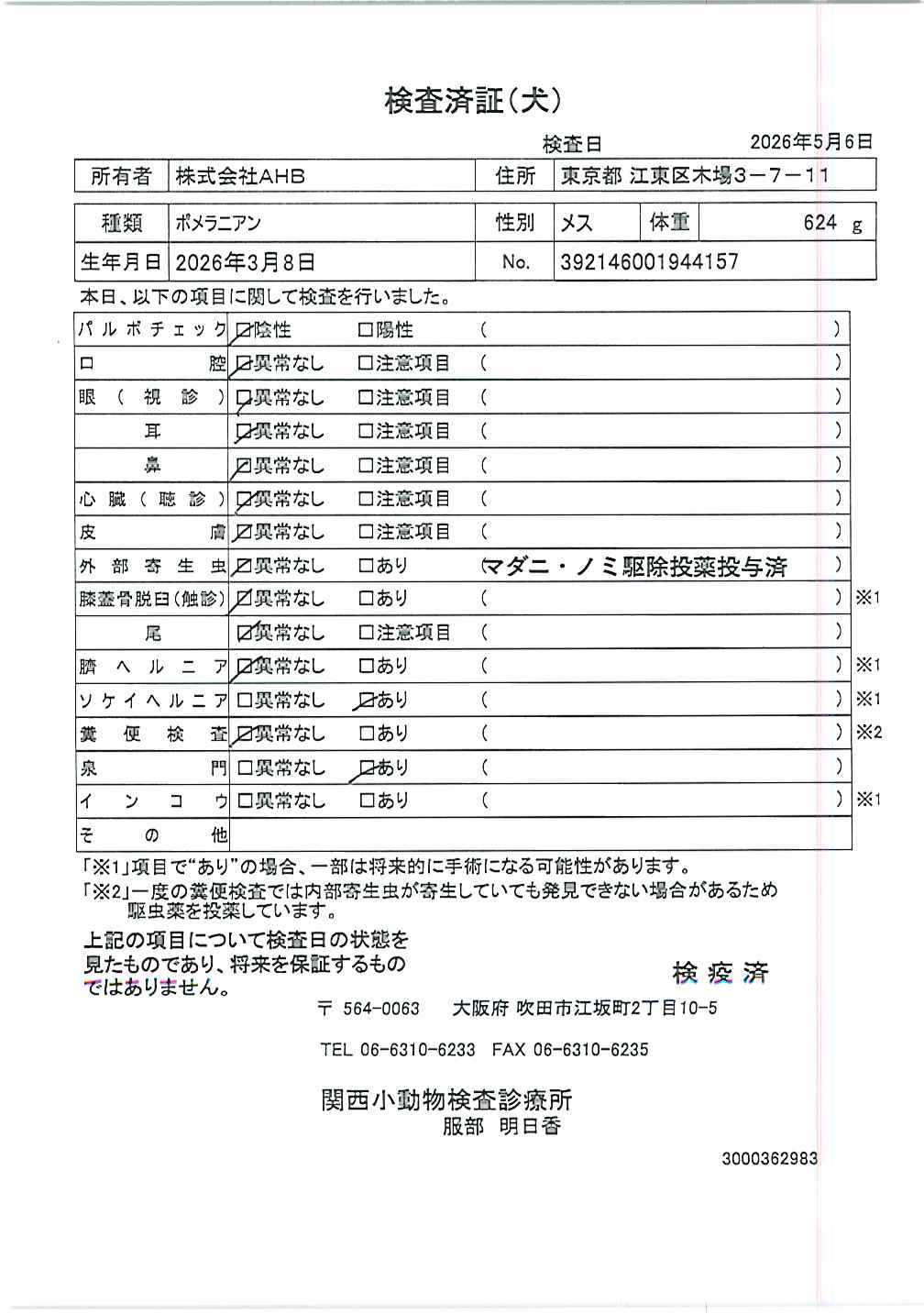 ポメラニアン