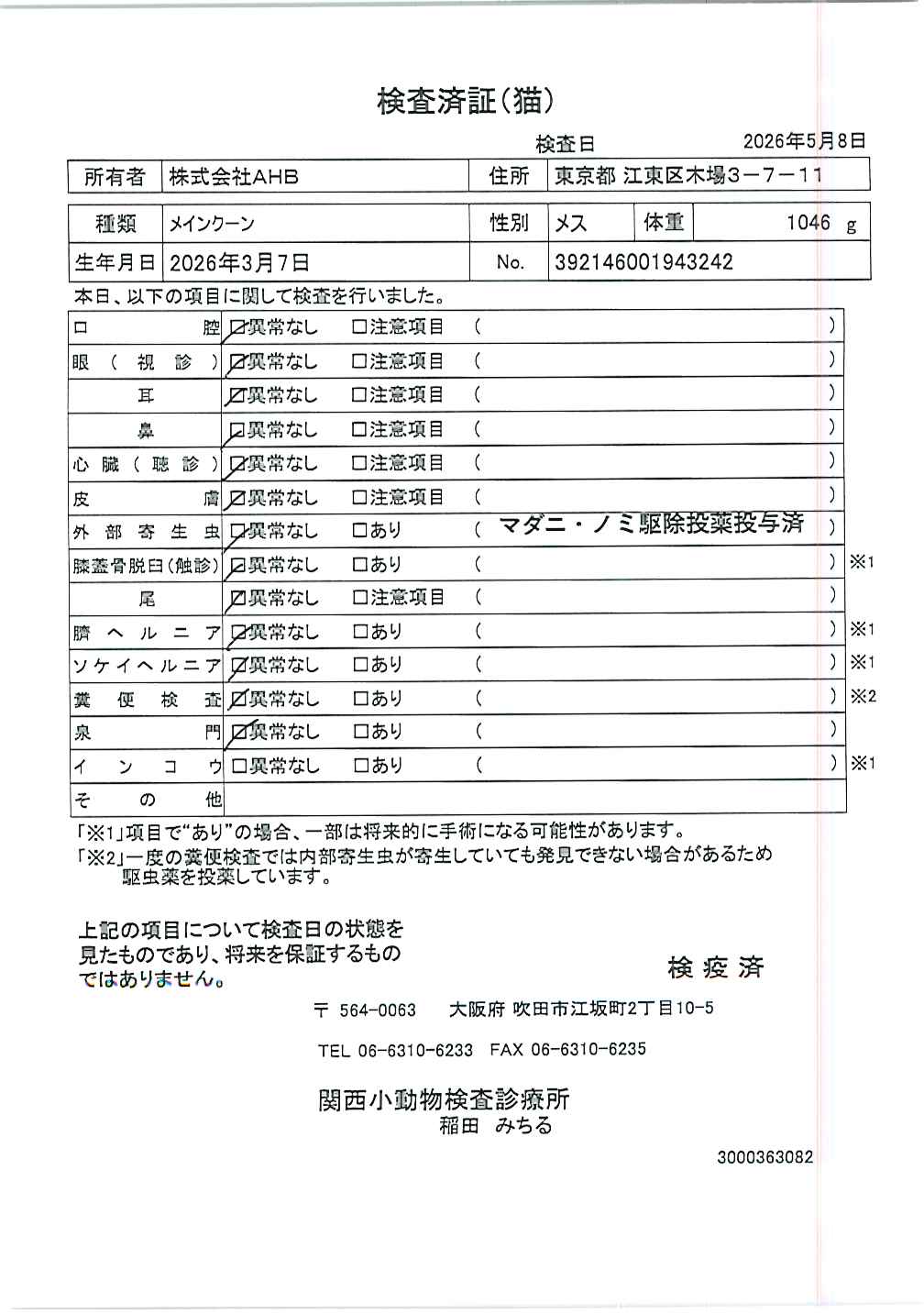 メインクーン