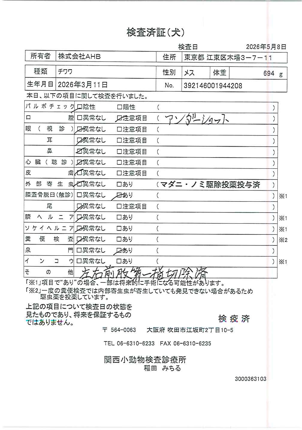 チワワ