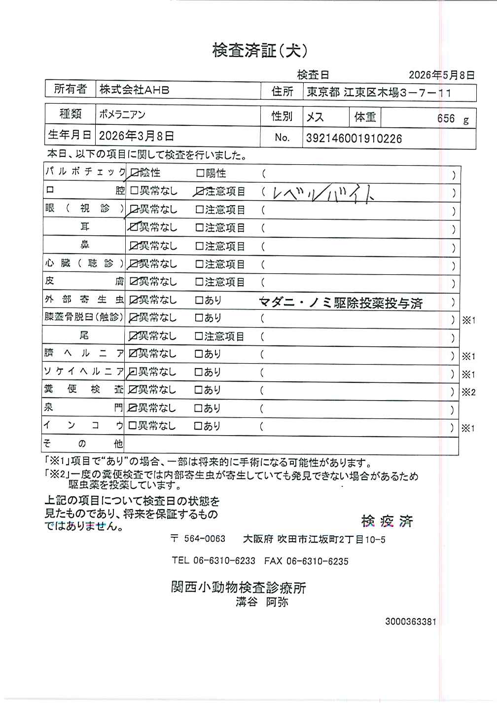 ポメラニアン