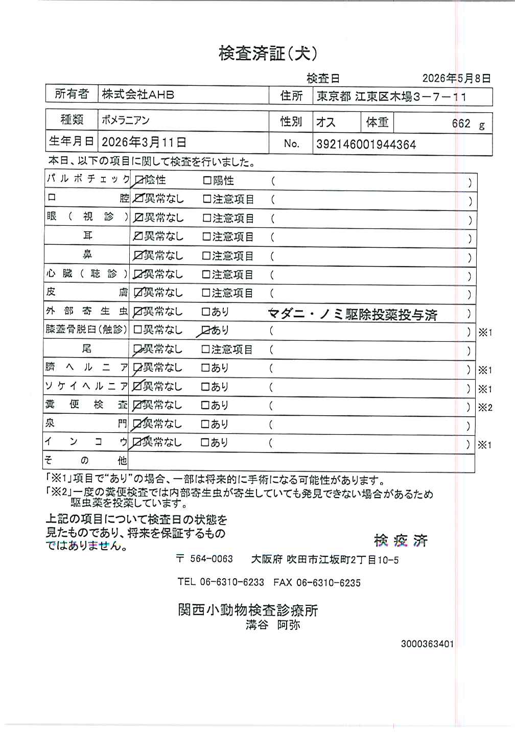 ポメラニアン