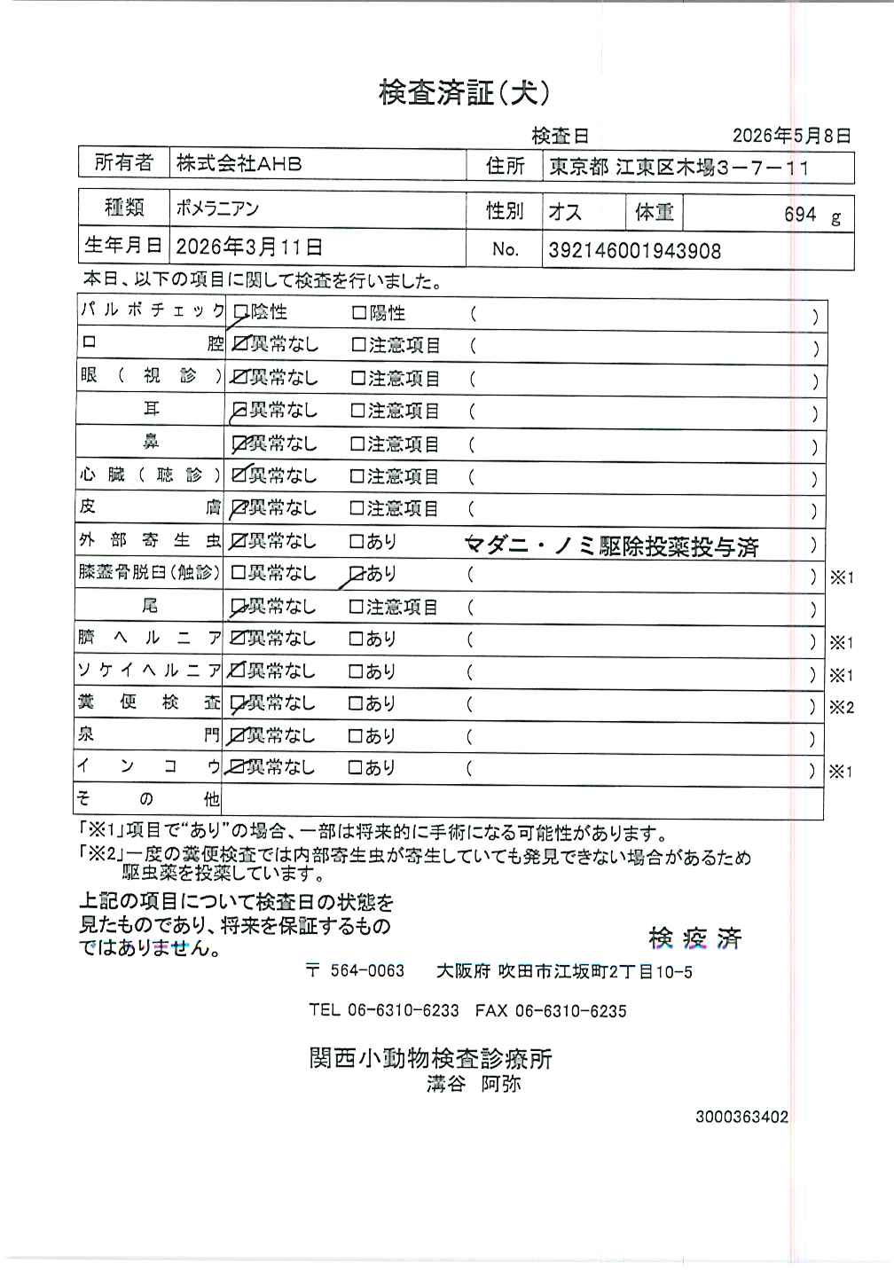 ポメラニアン