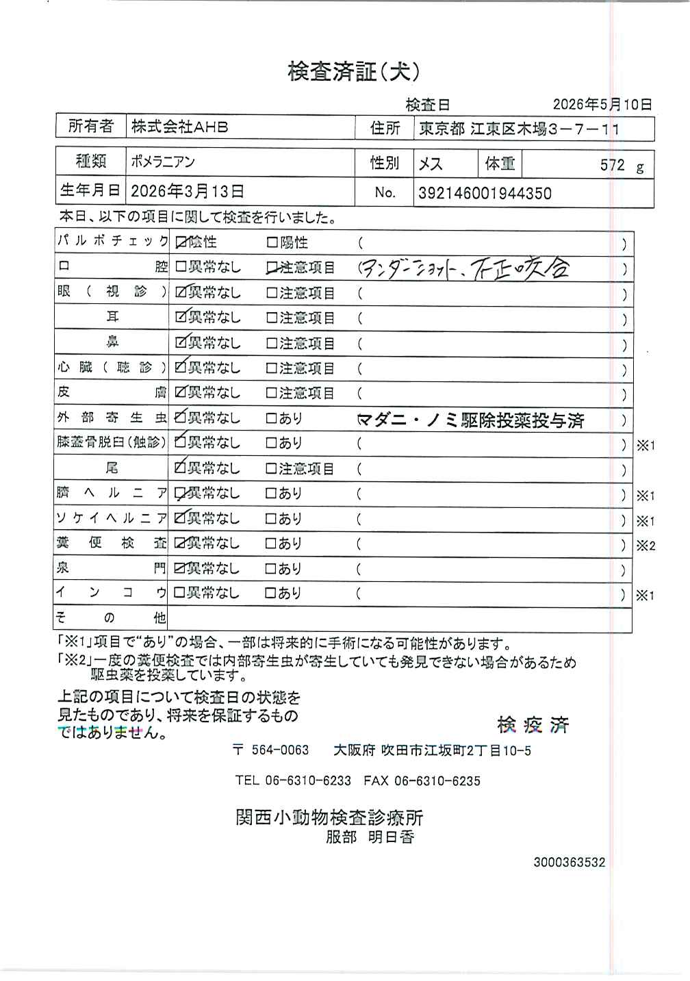 ポメラニアン
