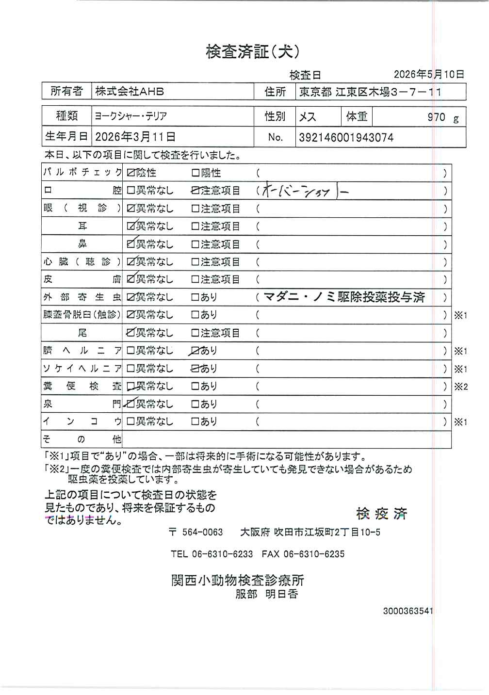 ヨークシャー・テリア