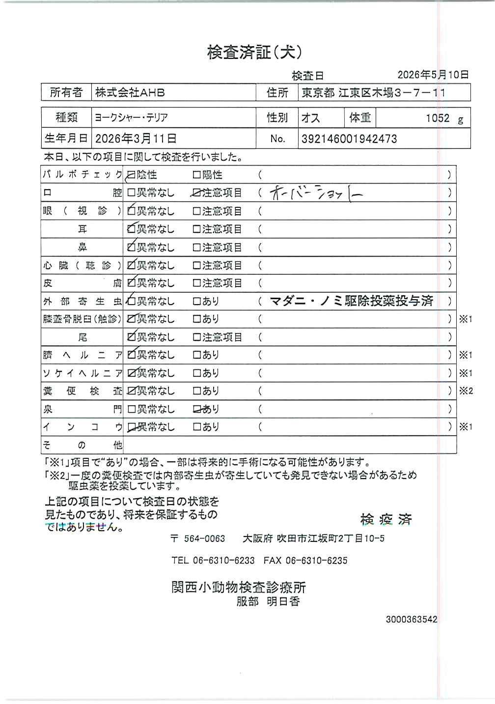 ヨークシャー・テリア