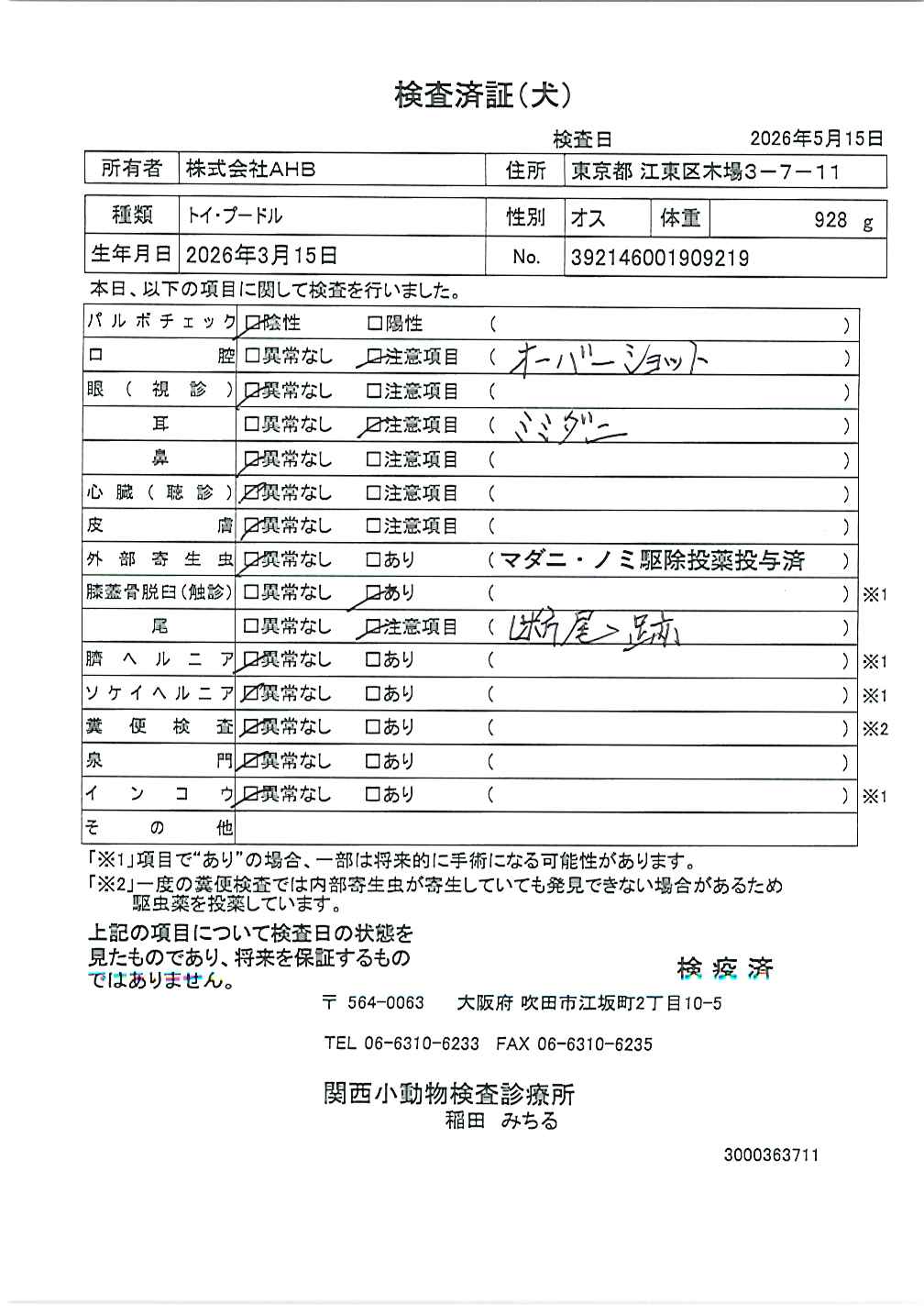 トイ・プードル