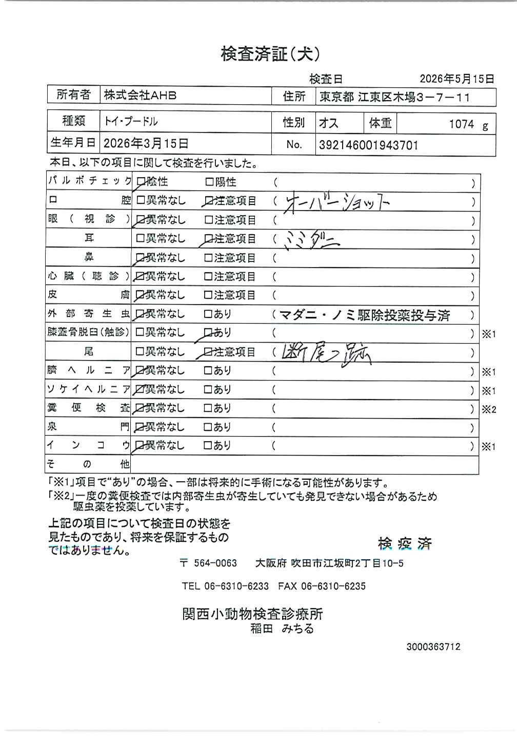 トイ・プードル
