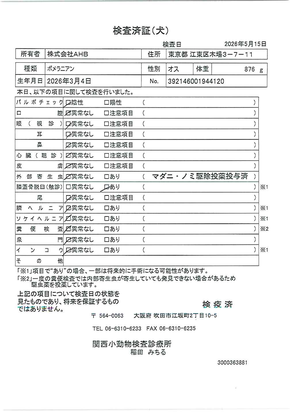 ポメラニアン