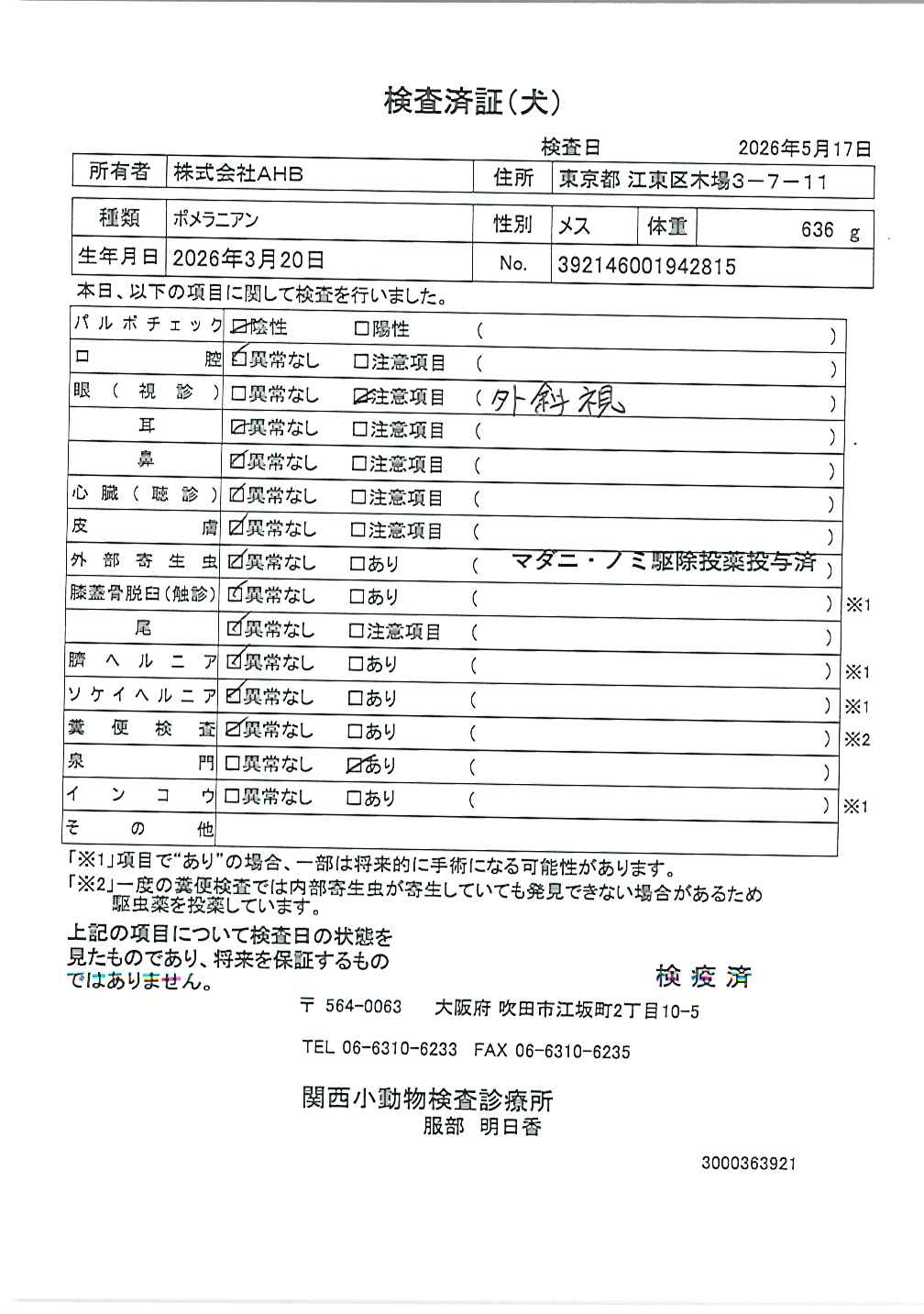 ポメラニアン