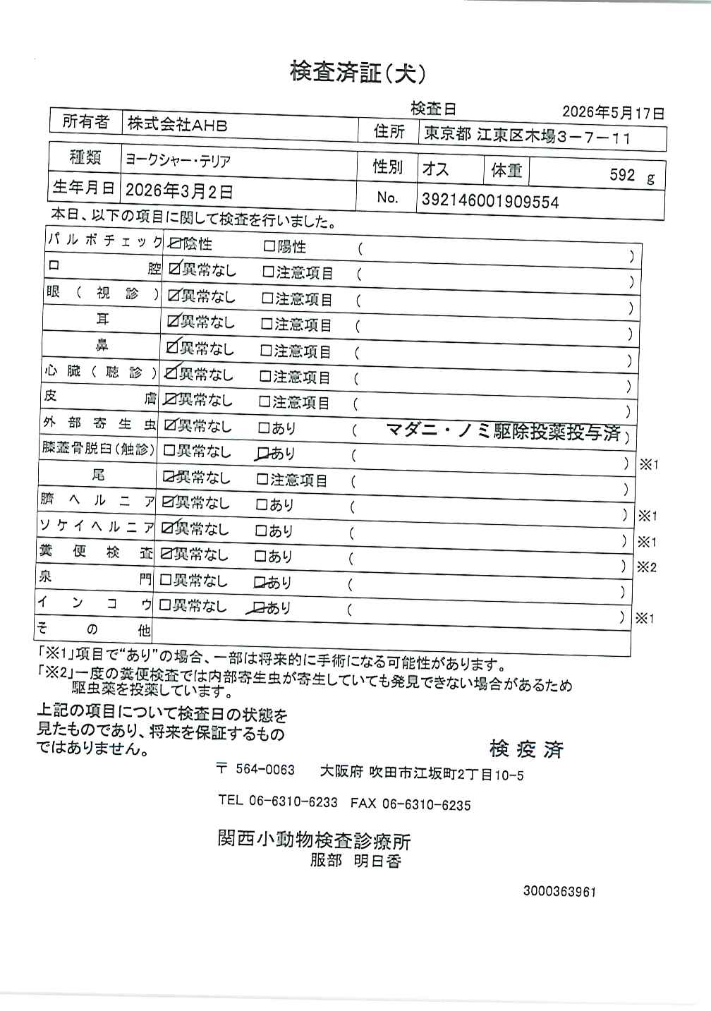 ヨークシャー・テリア