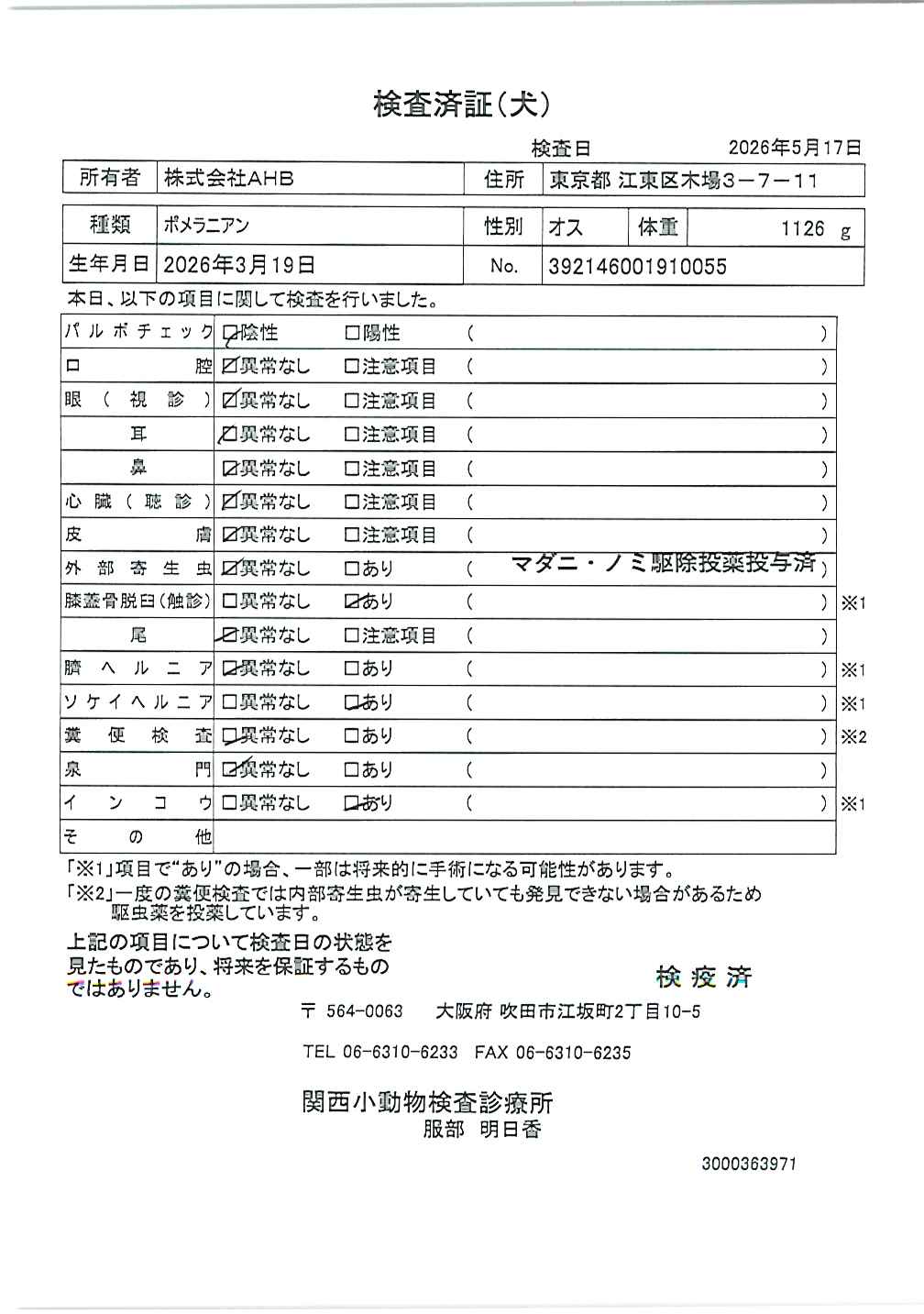 ポメラニアン