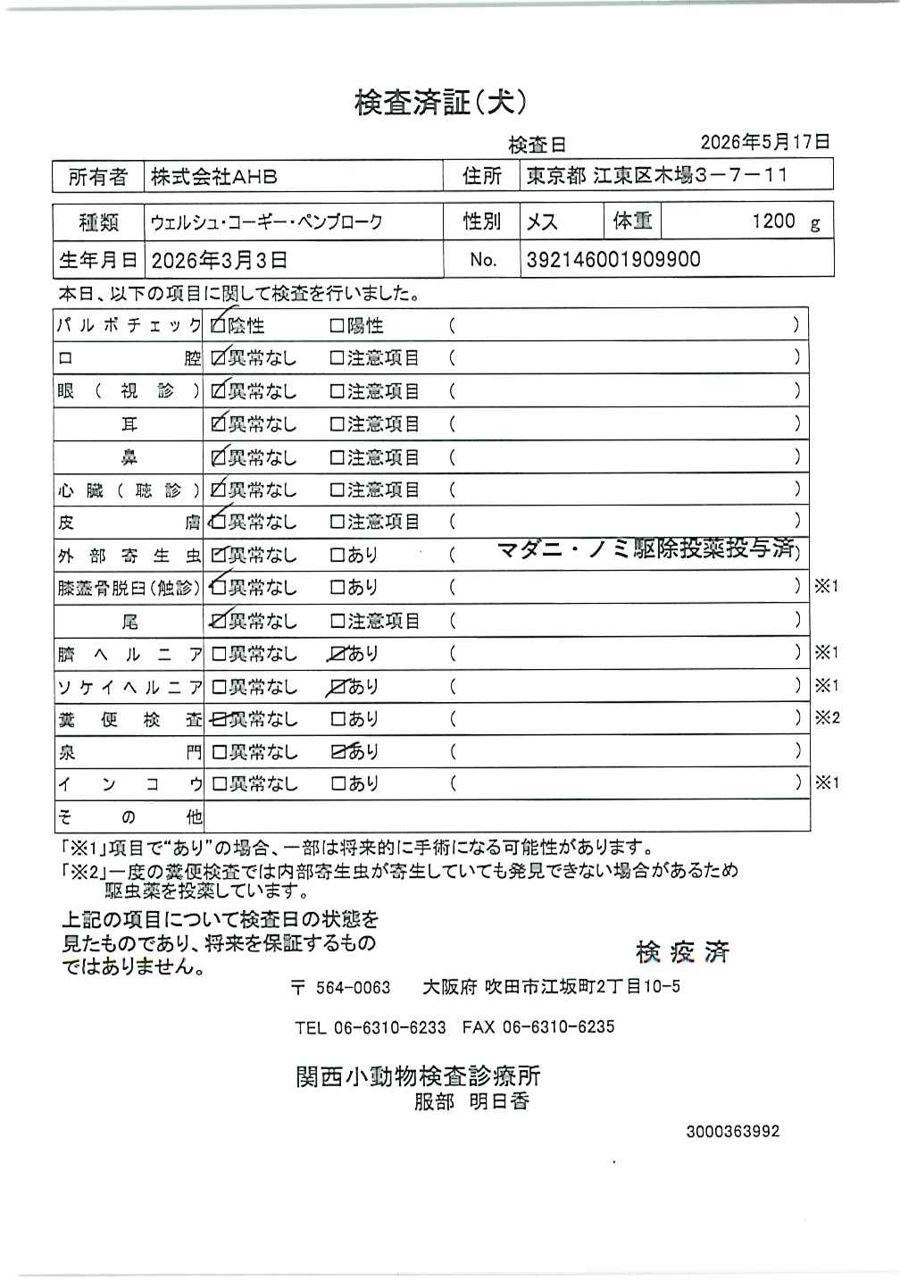 ウェルシュ・コーギー・ペンブローク