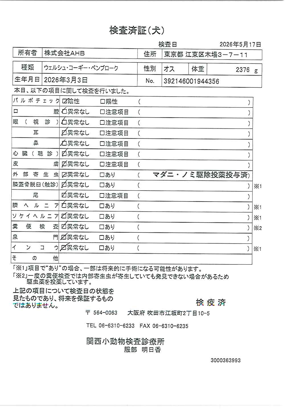 ウェルシュ・コーギー・ペンブローク