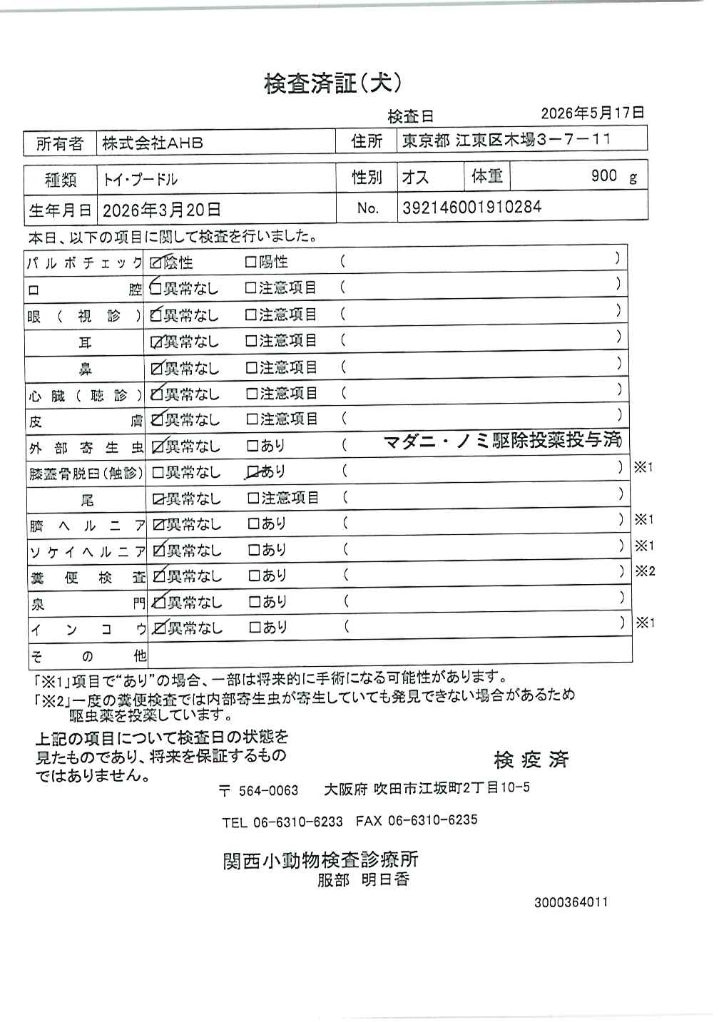 トイ・プードル