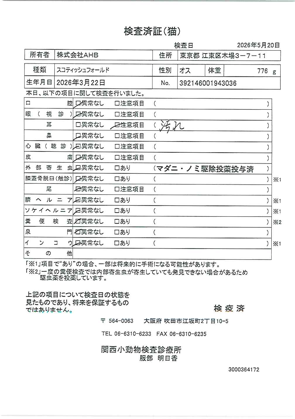 マルチーズ