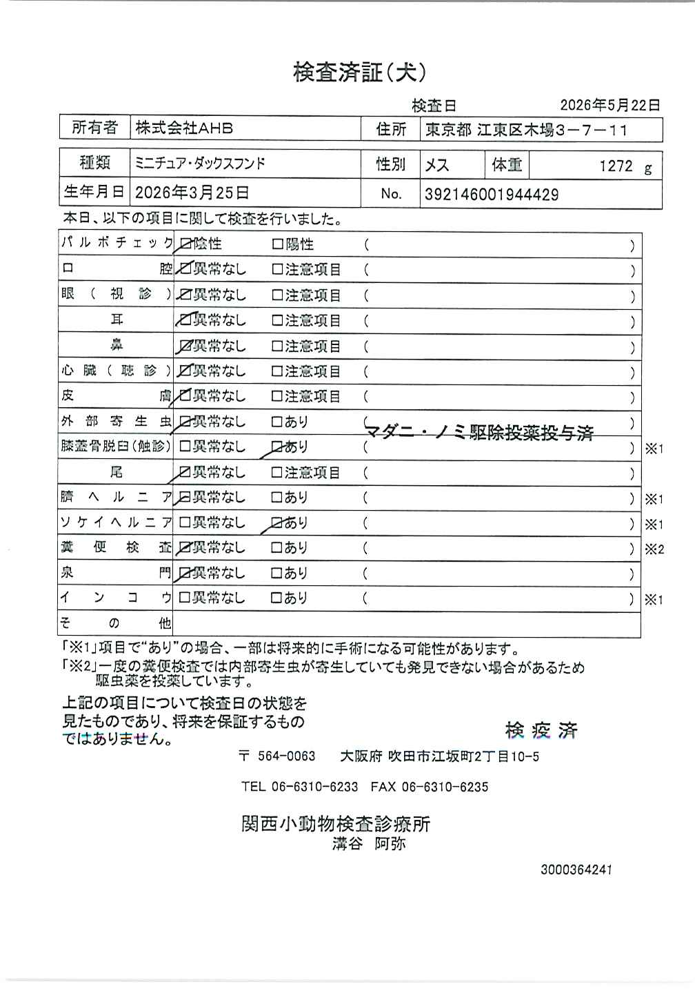 ミニチュア・ダックスフンド