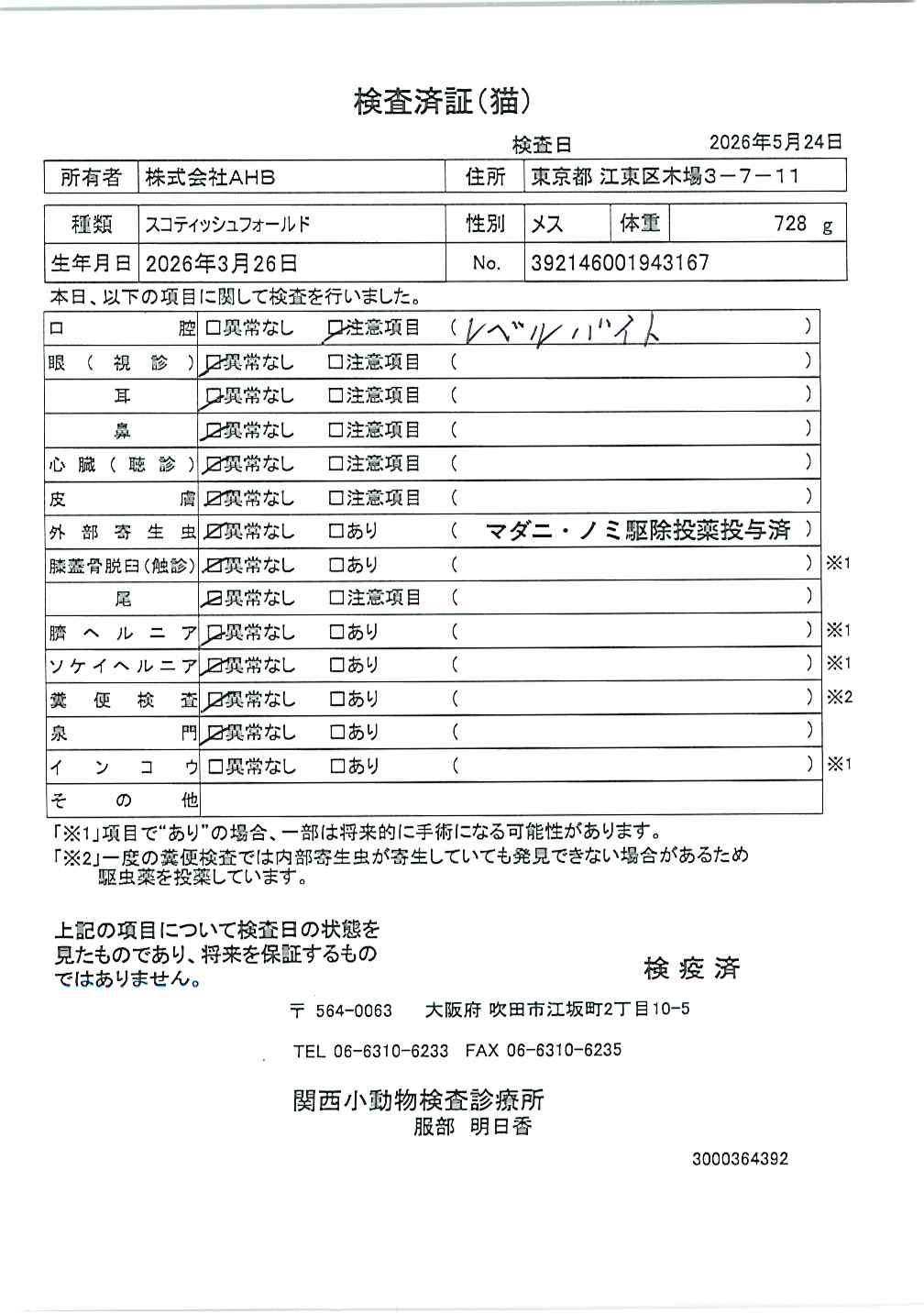 スコティッシュフォールド