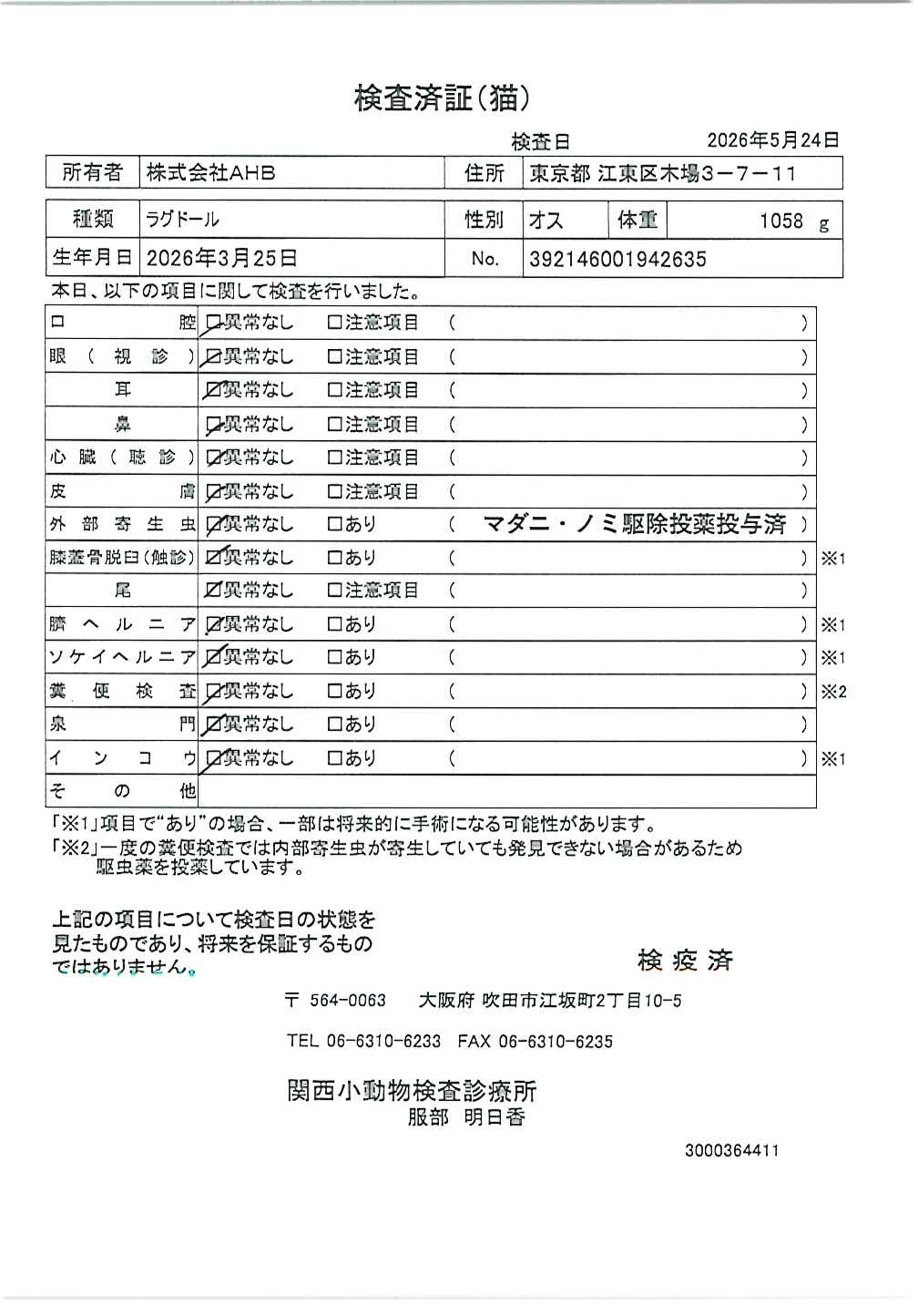 ラグドール