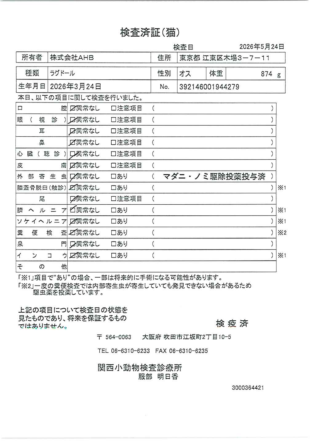 ラグドール