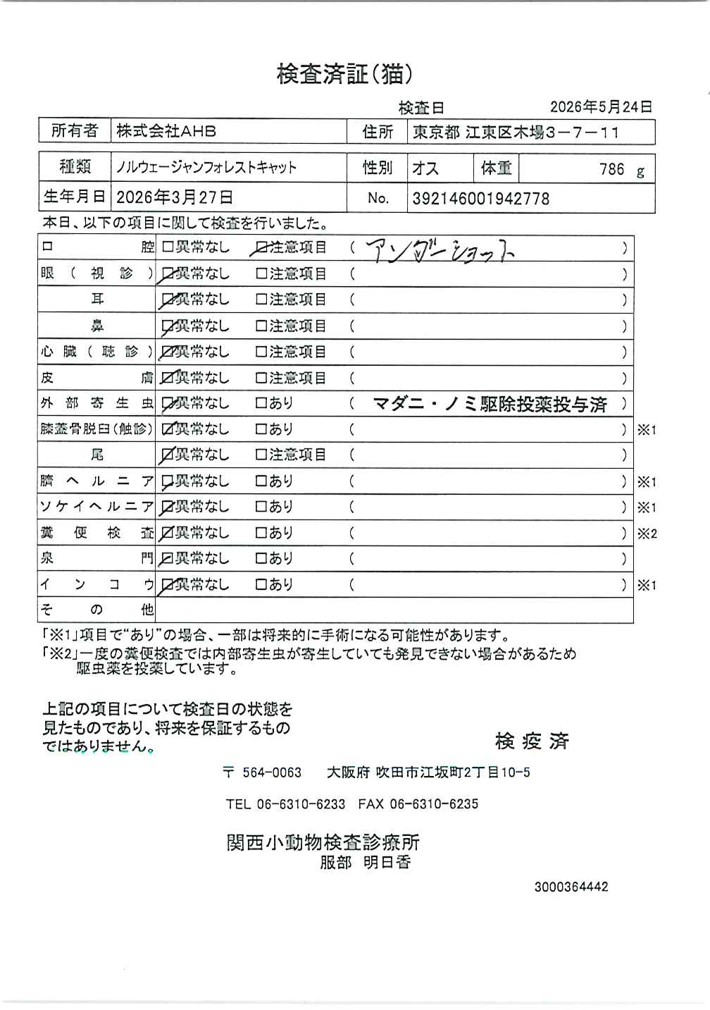 ノルウェージャンフォレストキャット