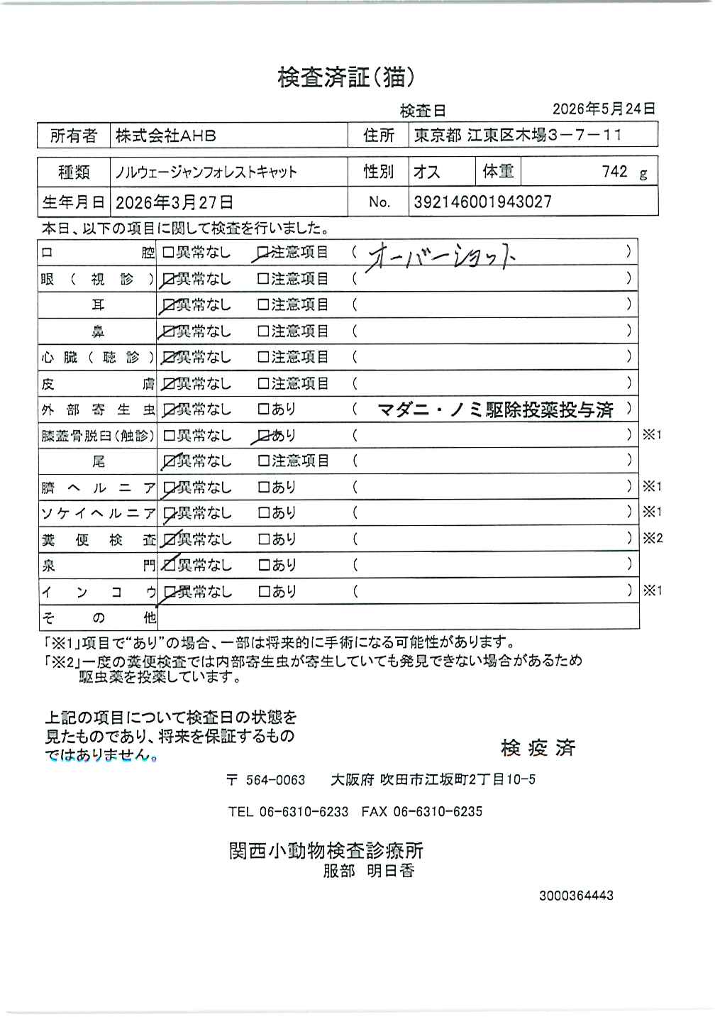 ノルウェージャンフォレストキャット