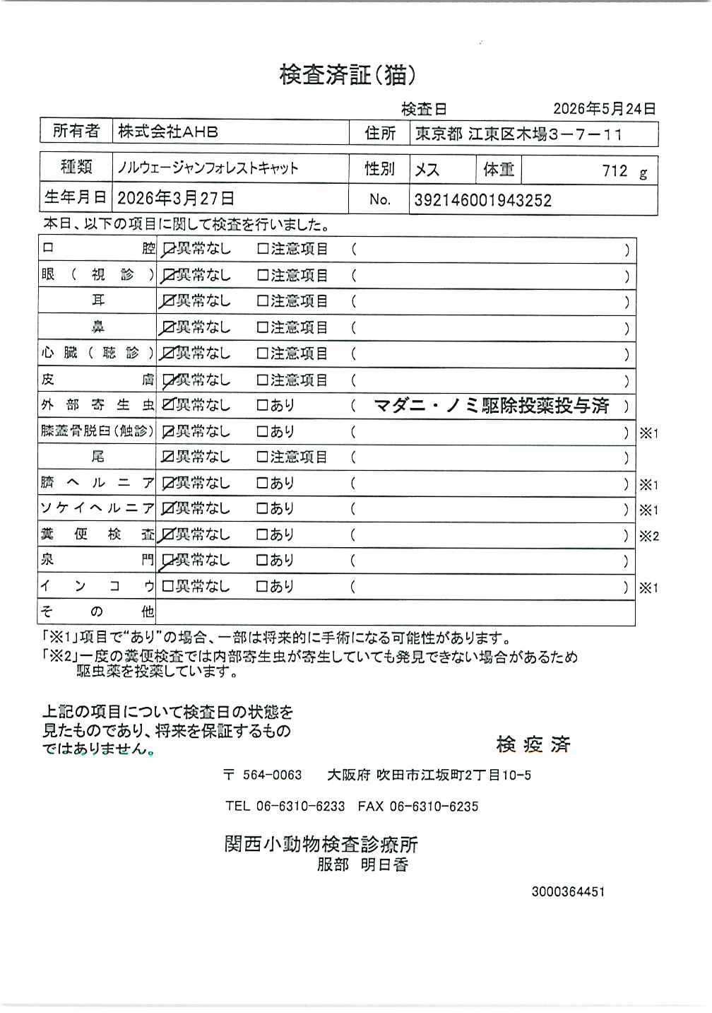 ノルウェージャンフォレストキャット