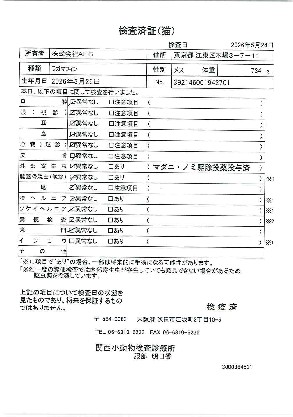 ラガマフィン