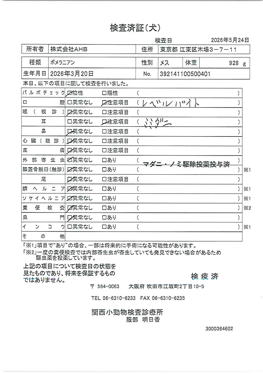 ポメラニアン