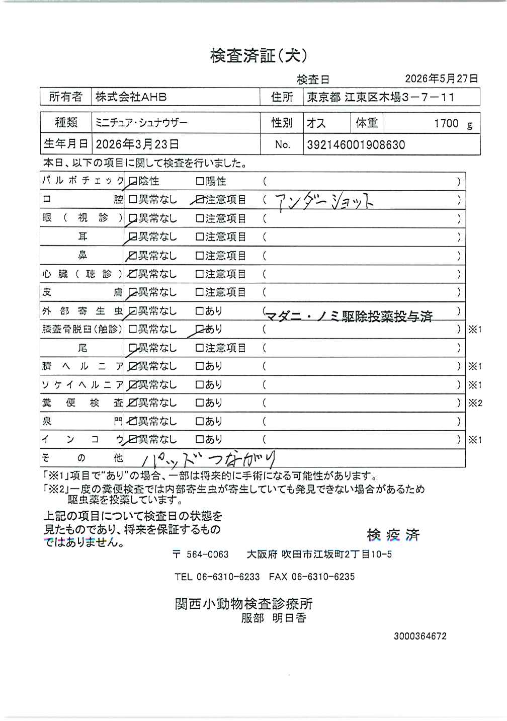 ミニチュア・シュナウザー