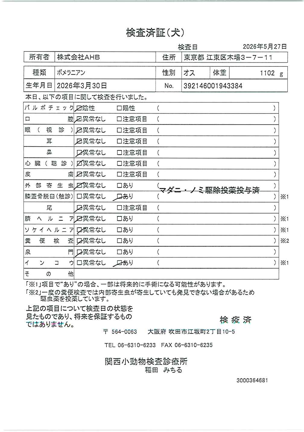 ポメラニアン