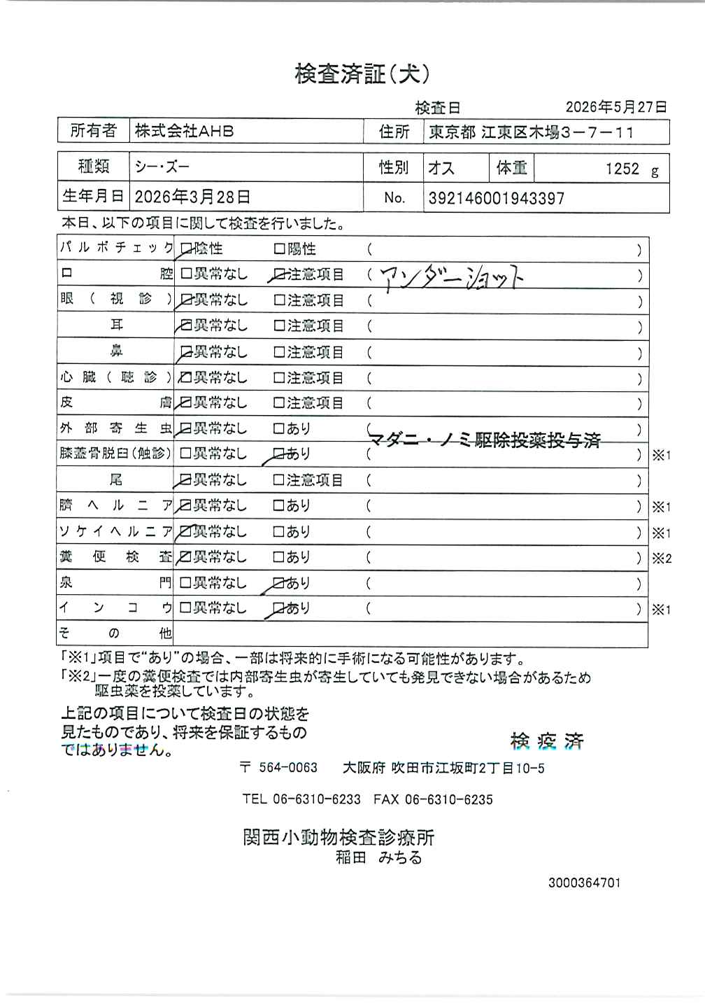シー・ズー