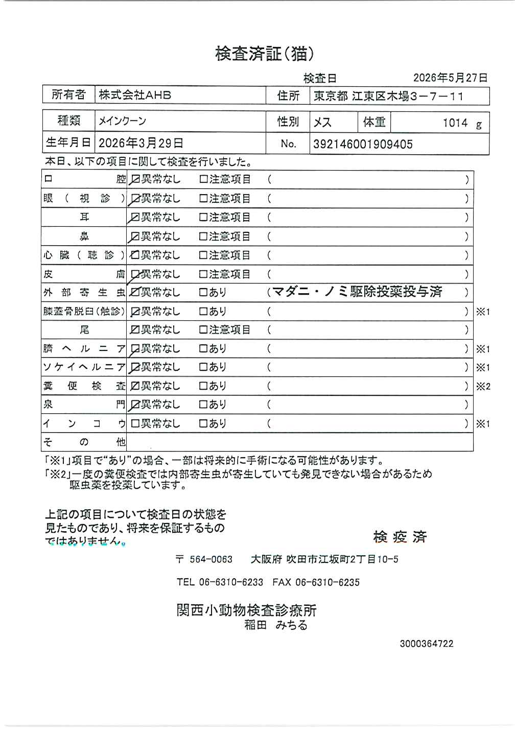 メインクーン