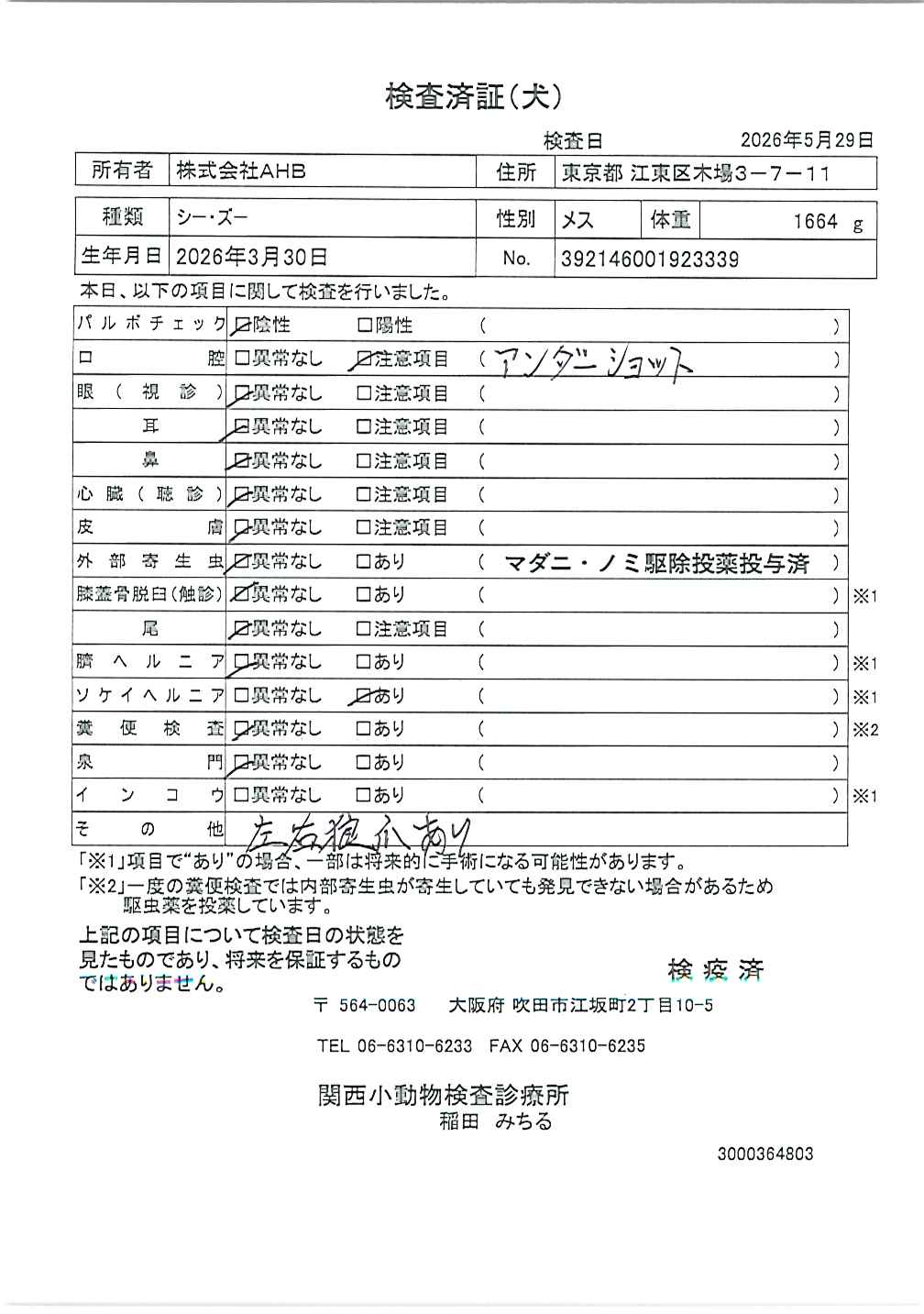 シー・ズー