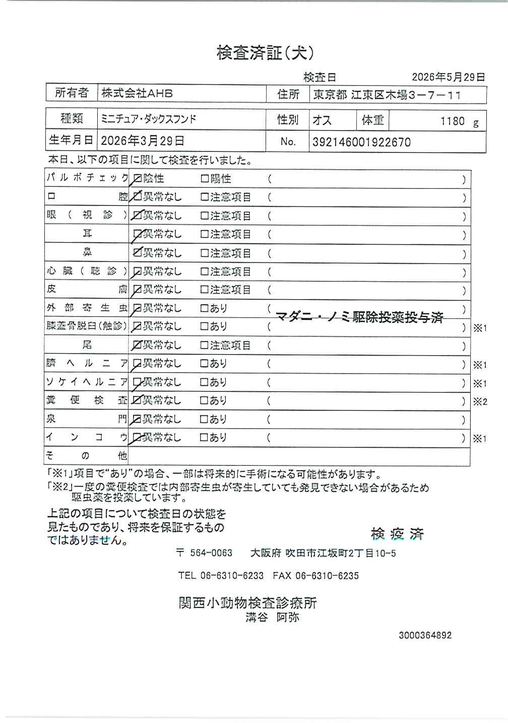 ミニチュア・ダックスフンド